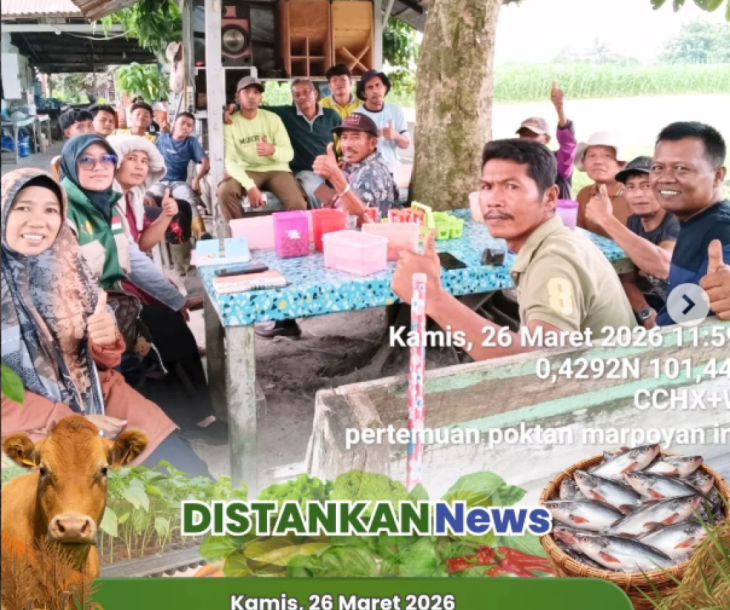Pertemuan Kelompok Tani Marpoyan Indah dan Monitoring Tanaman di Kecamatan Bukit Raya