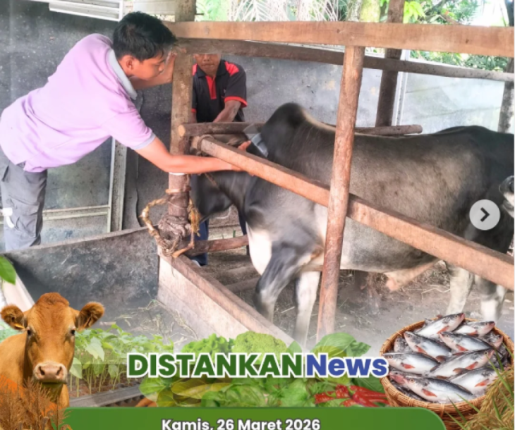 Pelayanan Aktif Kesehatan Hewan
