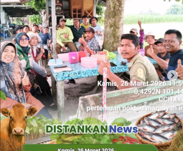 Pelayanan Aktif Kesehatan Hewan