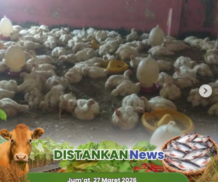 Pemotongan Unggas Sesuai Prinsip Kesejahteraan Hewan