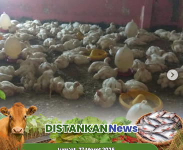 Groundbreaking Pembangunan Jembatan Garuda