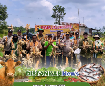 Sinergi Penyuluhan untuk Pertanian yang Lebih Maju