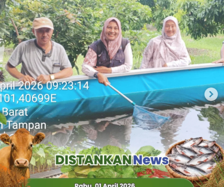 Anjangsana Penyuluh Dinas Pertanian dan Perikanan Kota Pekanbaru: Dampingi Pembudidaya Atasi Kematian Ikan Patin