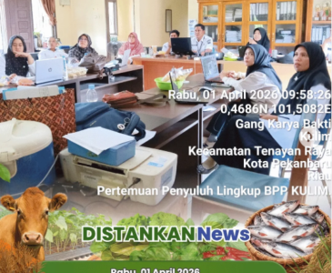 Anjangsana & Pendataan Produksi Budidaya Ikan dalam Ember (Budikdamber)