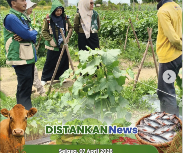 Budidaya melon makin optimal dengan teknologi modern