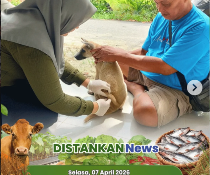 Kegiatan Puskeswan Tenayan Raya hari ini