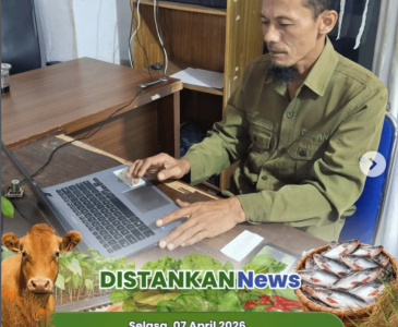 Budidaya melon makin optimal dengan teknologi modern