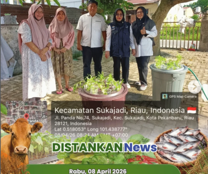 penebaran benih ikan lele sekaligus evaluasi Budidaya Ikan dalam Ember (Budikdamber) bersama Pokdakan Selendang