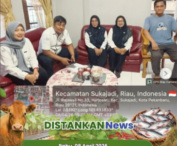 penebaran benih ikan lele sekaligus evaluasi Budidaya Ikan dalam Ember (Budikdamber) bersama Pokdakan Selendang