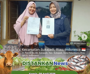 Penanaman padi di Poktan Harum Sari Jaya, Kelurahan Limbungan