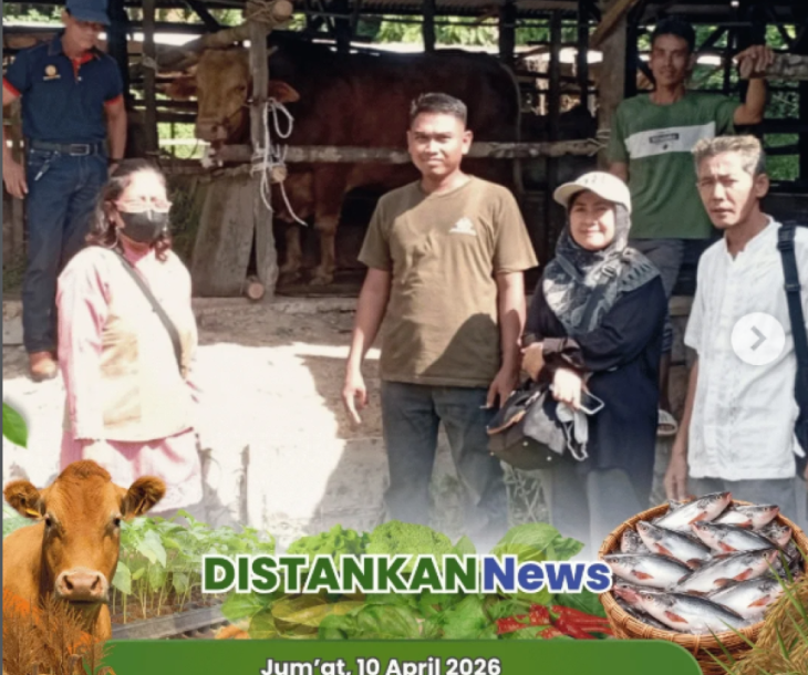 Seleksi Ketat Sapi Qurban Banmas Presiden RI 2026