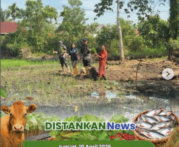 Penyerahan Sertifikat Halal produk olahan perikanan kepada Ibu Alwarda