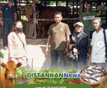 Penanaman padi di Poktan Harum Sari Jaya, Kelurahan Limbungan