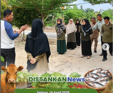 Diseminasi Pertanian di Lahan Poktan Ketahanan Pangan