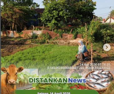 Apel pagi Penyuluh Pertanian Lapangan (PPL) BPP Kulim