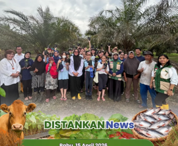 Diseminasi Pertanian di Lahan Poktan Ketahanan Pangan
