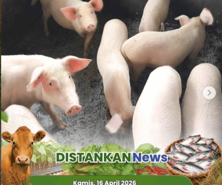 Kegiatan Puskeswan Tampan
