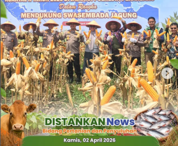 Penguatan Pengelolaan Limbah Organik