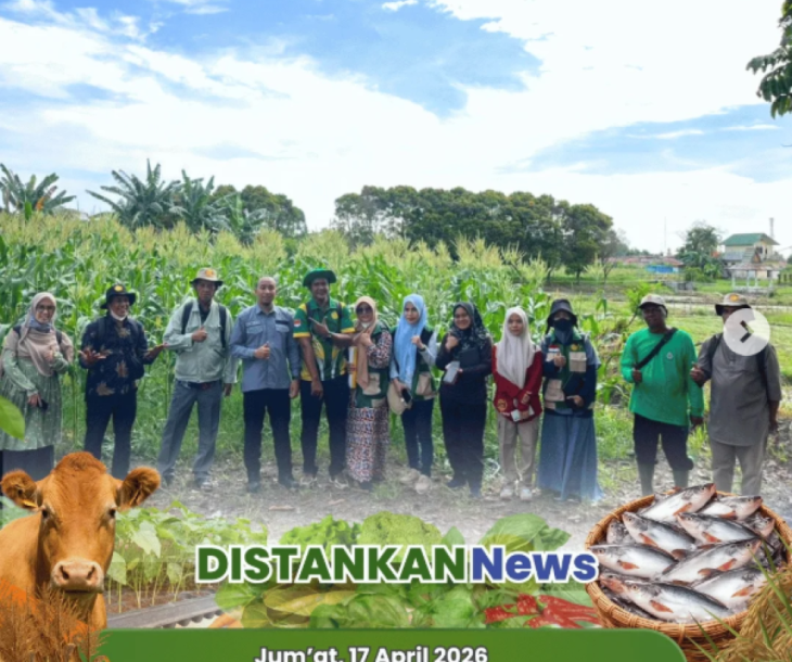 Kegiatan sampling pemetaan lahan telah dilaksanakan di Poktan Marpoyan Indah
