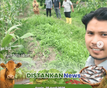 Diseminasi Pertanian di Lahan Sawah Poktan Ketahanan Pangan