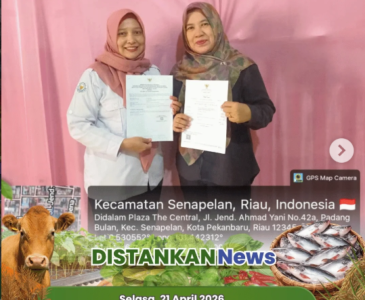 Penyuluhan Budidaya Ikan Dalam Ember (Budikdamber) serta pembuatan probiotik air dan pakan