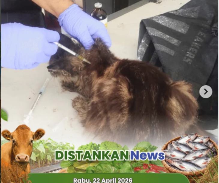 Kegiatan Pelayanan Puskeswan Tampan