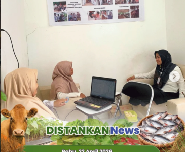 Penanaman Jagung Pipil Poktan Sejahtera
