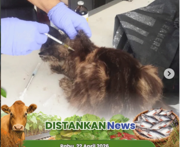 Pertemuan Poktan C Sembilan Sembilan