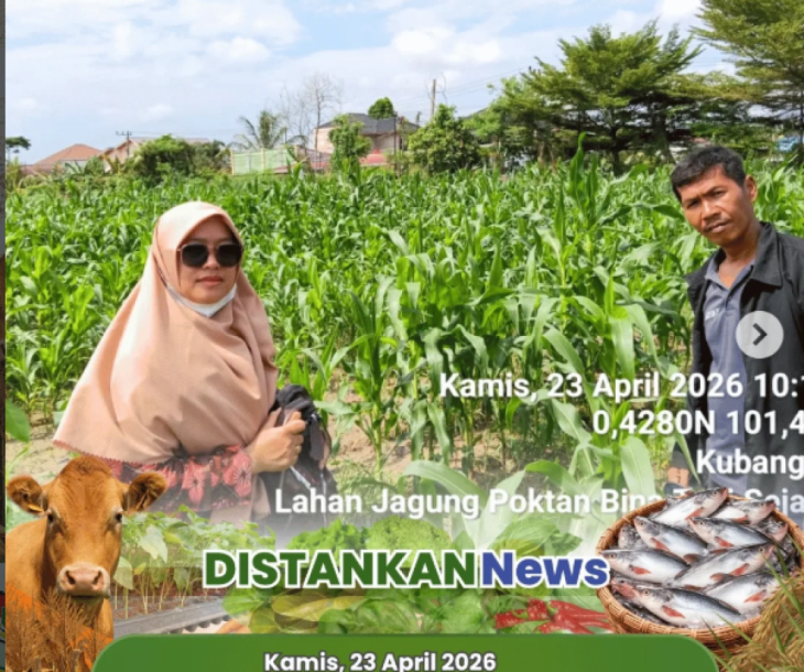 Kunjungan Anjangsana ke Lahan Poktan Bina Tani Sejahtera