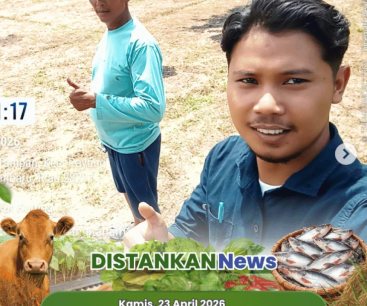 Persiapan Lahan Tanam Kacang Tanah di Poktan Aur Kuning