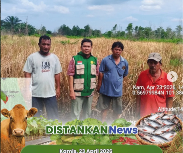Persiapan Lahan untuk Tanam Padi Gogo