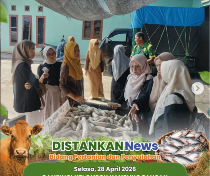 Pendampingan kepada Kelompok Kampung Pangan Sialang Rampai