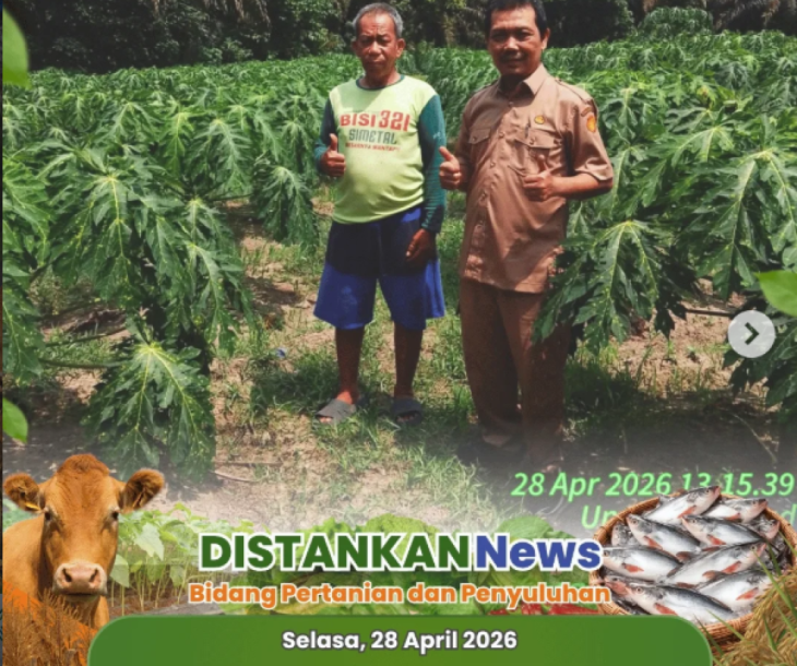 Anjangsana perorangan dilakukan ke Poktan Fajar Jaya