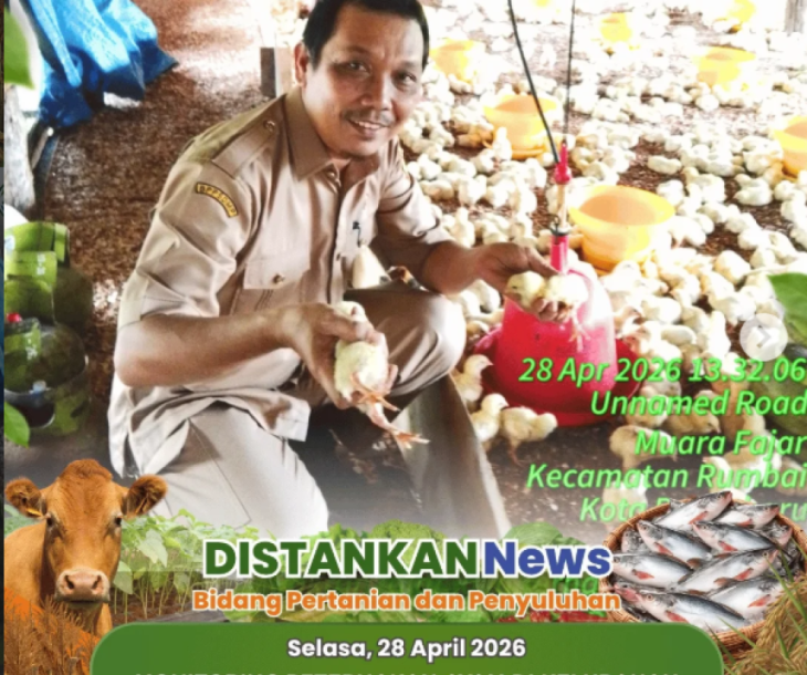 Monitoring peternakan ayam dilakukan di Kelurahan Rantau Panjang