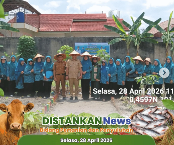 Wujudkan Pekarangan Asri dan Produktif!
