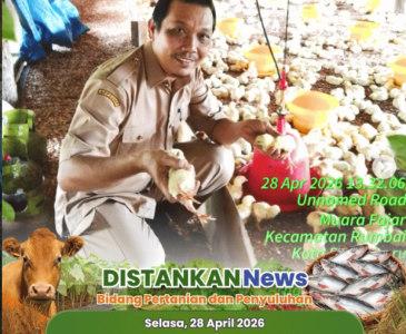 Pembinaan Intensif Untuk Optimalkan Budidaya Ikan di Tuah Madani