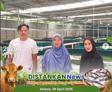 Mendorong peningkatan kualitas dan daya saing pelaku usaha perikanan.