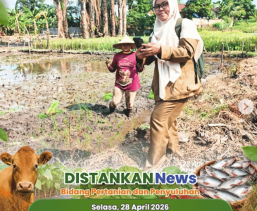 Pendampingan edukasi pertanian bagi Kader PKK Kelurahan Kampung Dalam