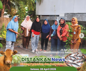 Wujudkan Pekarangan Asri dan Produktif!