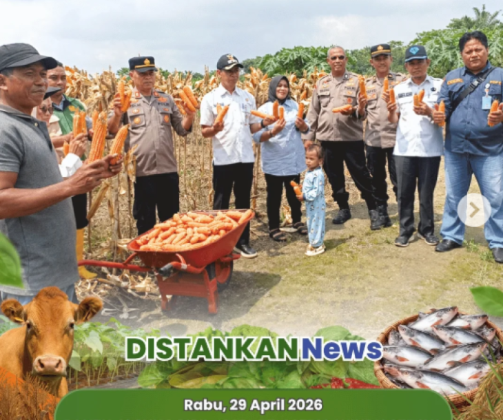 Panen Jagung Pipil: Sinergi CSR SWS Bersama Petani dan Aparat