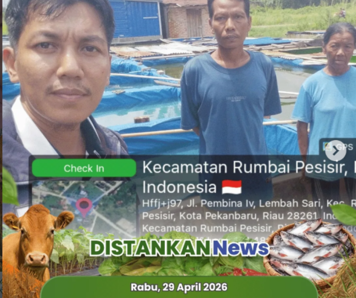 Monitoring Bantuan Induk & Pakan Ikan Patin di UPR Isha Febrina Farm