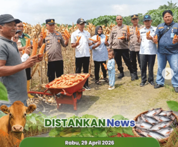 Anjangsana & Pendataan Produksi Pembenihan Patin di UPR Tangkerang Barat