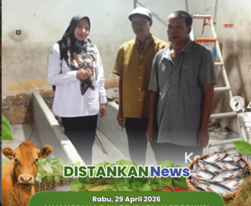 Monitoring, Verifikasi & Validasi Pupuk Bersubsidi di Sidomulyo Barat