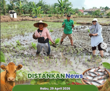 Pendampingan Ternak Kambing di Kelurahan Tanjung Rhu