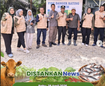 Pendampingan Ternak Ayam KUB di Kelurahan Sri Meranti
