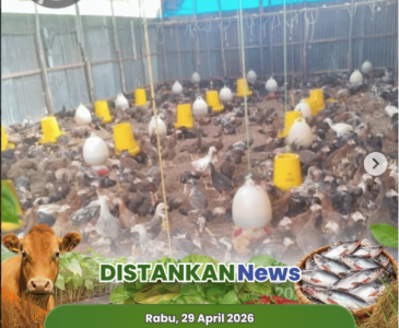 Monitoring & Evaluasi Perizinan PT. Saria Windu Seraya