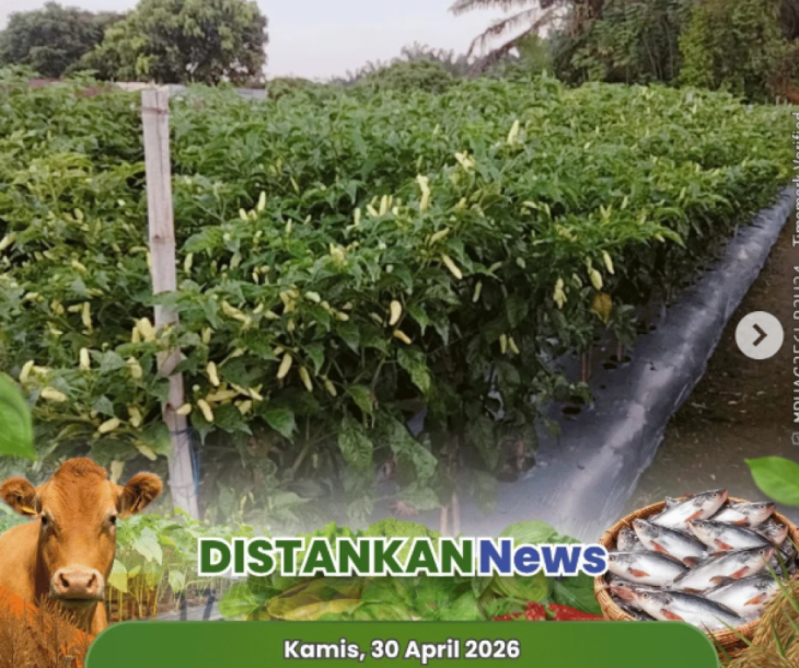 Monitoring bareng Poktan Jadi Rejo