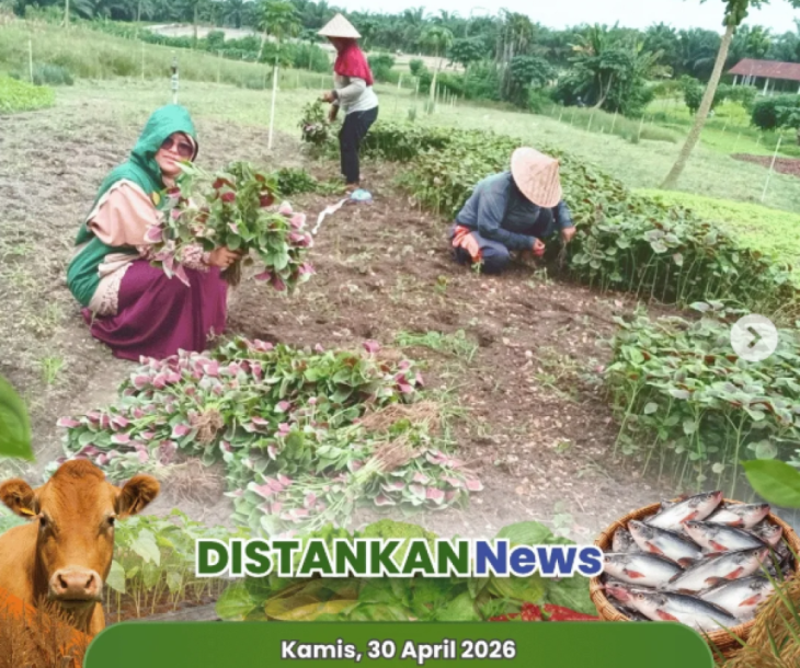 Kunjungan anjangsana sekaligus pendampingan alat dan mesin pertanian (alsintan) di Poktan Belibis Makmur
