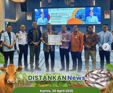 Kegiatan penanaman jagung oleh kelompok tani