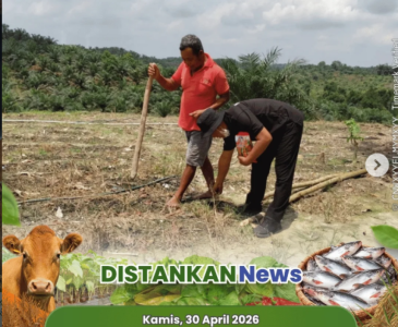 Monitoring bareng Poktan Jadi Rejo